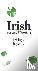 Irish-English / English-Iri...