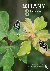 Botany in 8 Lessons - A Com...