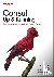 Consul: Up and Running - Se...