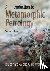 An Introduction to Metamorp...