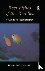 Reef Fish Of The Red Sea - ...