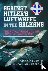 Against Hitler's Luftwaffe ...