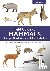 Field Guide to Mammals of E...