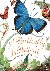 A Butterfly Is Patient