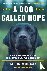 A Dog Called Hope - A Wound...