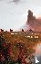 How the Earth Feels - Geolo...