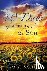 McGee, Mary J. - 40 Days of Seeking the Son