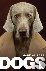 Dogs - A Philosophical Guid...