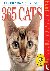 365 Cats Page-A-Day® Calend...
