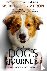 A Dog's Journey