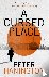 A Cursed Place - A page-tur...