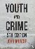 Muncie - Youth and Crime