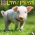 12 Little Piggies 2025 12 X...