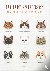 Applemints - Cat Lady Embroidery - 380 Ways to Stitch a Cat