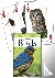 Birds of the Northeast Play...