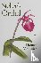 Steller's Orchid