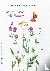 Embroidered Wild Flowers - ...