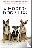 A Modern Dog's Life - How t...