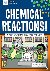 BERK, SUSAN - CHEMICAL REACTIONS