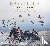 Bay of Life - From Wind to ...