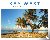 Key West - Paradise Found