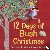 Berg, Megan Van Den, Bamblett, Emma - 12 Days of Bush Christmas