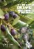 A Guide to Olive Pests and ...