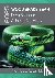 2025 Wood Snake Year - Feng...
