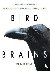 Bird Brains - The Intellige...