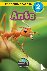 Ants - Animals That Make a ...