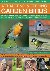 Green, Dr Jen - A Practical Illustrated Guide to Attracting  Feeding Garden Birds - The Complete Book of Bird Feeders, Bird Tables, Birdbaths, Nest Boxes and Backyard Birdwatching