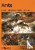 Ants