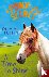 A Pony Called Secret: A Tim...