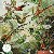 Adult Sustainable Jigsaw Pu...