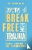 Smethurst, Philippa - 20 Ways to Break Free From Trauma - From Brain Hijacking to Post-Traumatic Growth