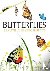 Butterflies - Beautiful Fly...