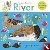  - Animal Families: River