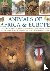 Chinery, Michael, Jackson, Tom - Animals of Africa and Europe - A Visual Encyclopedia Of Amphibians, Reptiles And Mammals In The African And European Continents, With Over 350 Illustrations And Photographs