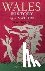Wales - History of a Nation