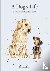 A Dog’s Life - A celebratio...