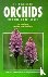 Field Guide to Orchids of B...