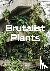 Broome, Olivia - Brutalist Plants