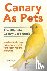 Canary As Pets: Canary bree...