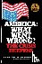 America - What Went Wrong? ...