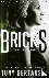 Bricks - A Technothriller
