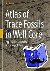 Atlas of Trace Fossils in W...