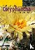 Coryphantha - Kakteen aus N...