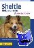 Sheltie - Shetland Sheppdog