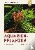 Aquarienpflanzen - 500 Arte...