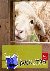 Schafe - Eine Liebeserklärung